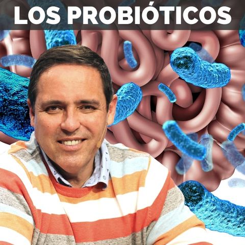 ▶️ ¿QUÉ SON LOS PROBIÓTICOS? ✅