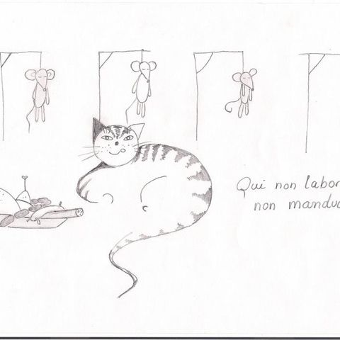 La mia lettera a Stefano
