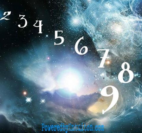 FREE Readings with World Renowned Numerologist to the Stars, Patricia Kirkman