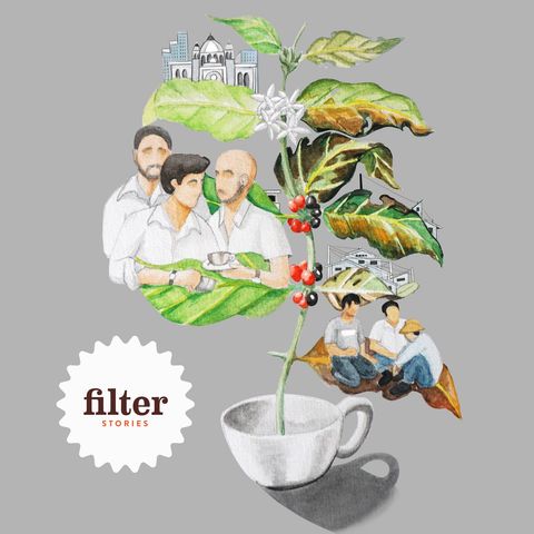 Is your coffee building Trump’s wall? Part 1: A tale of two El Salvadors