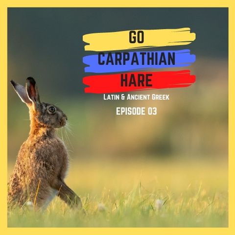 E03: Go Carpathian Hare (Latin and ancient Greek)