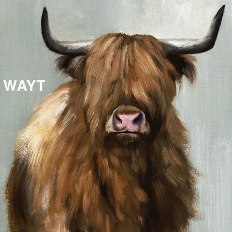 WAYT EP. 337