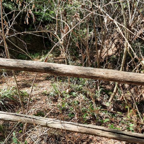 Sette Guadi Sul MONTE PAVAJON a Galzignano Terme