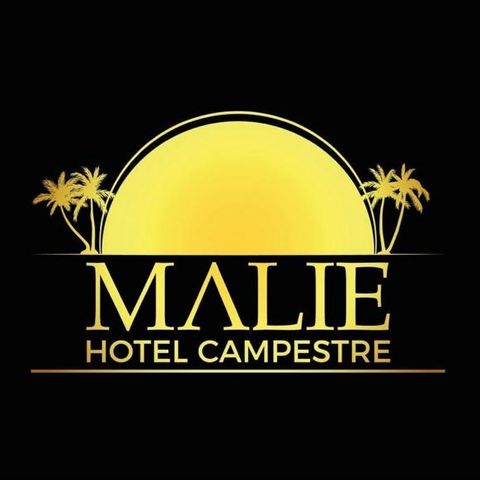 Proceso Consultor - Hotel Malie