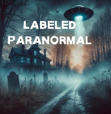 Labeled Paranormal- Past Lives and Quantum Soul Therapy with Katische Haberfield