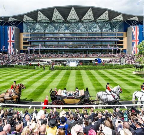The Top 7 Royal Ascot Betting Tips for 2022 - Horse Racing Insider Tips