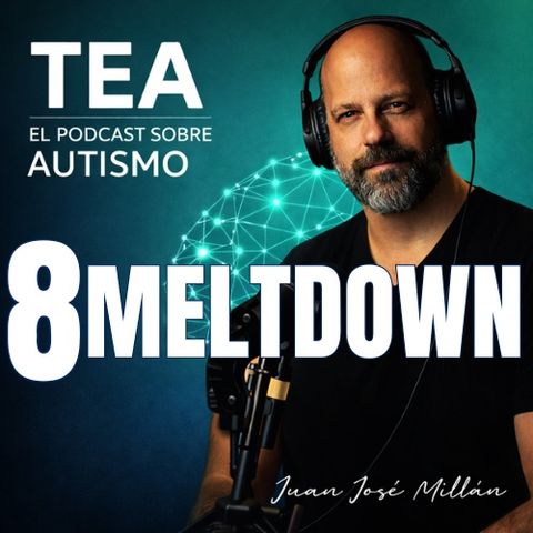 8 - MeltDown