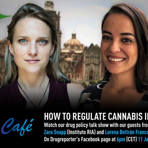 How to Regulate Cannabis in Mexico? - Drugreporter Café