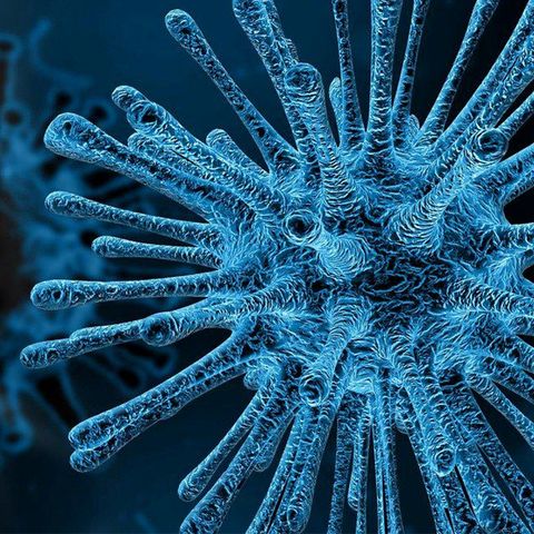 Más de mil muertos por coronavirus en China
