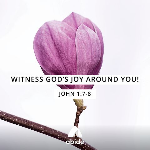 Witnessing Joy