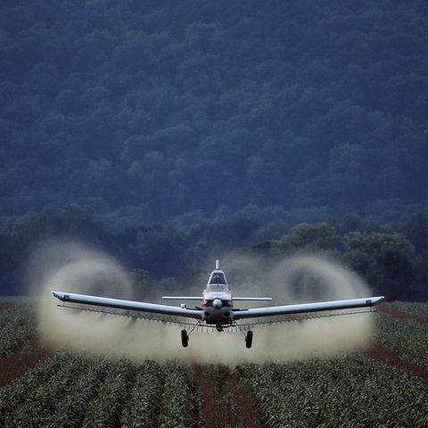 Pesticidi, nei campi USA 146 mila tonnellate di "sostanze proibite”