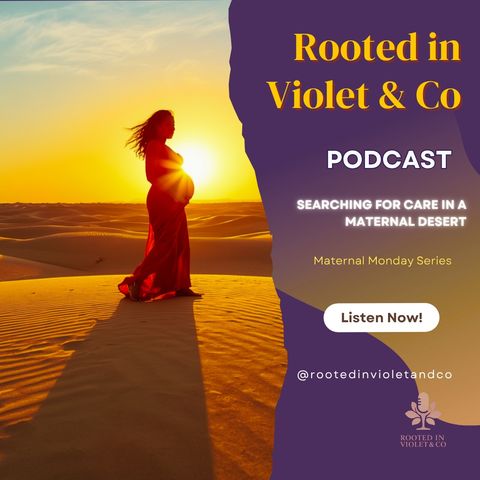 Maternal Deserts Explained: Access, Effects & How to Cope