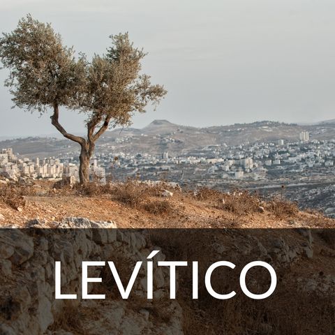 Levítico  Capítulo 5
