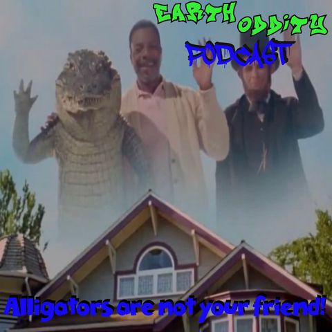 Earth Oddity 118: Alligators are not your friend!