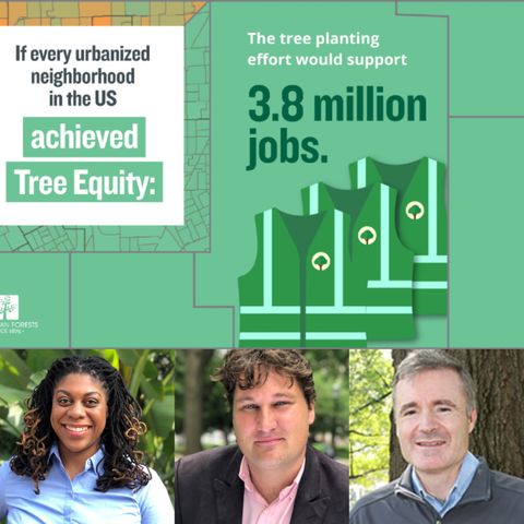 How Trees Can Boost the US Economy - American Forests on Big Blend Radio