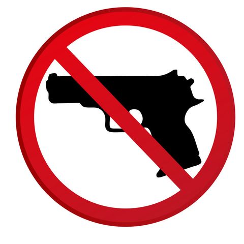 Michigan Supreme Court are for Gun-Free Zone Schools +