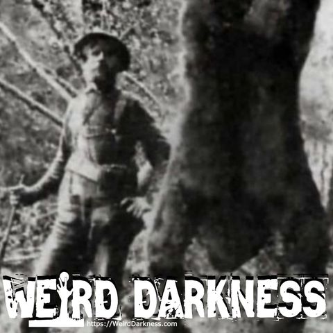 “LEGENDS AND LIES OF SASQUATCH: IS BIGFOOT REAL?” and More Freaky True Stories! #WeirdDarkness