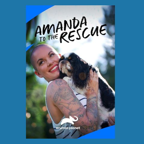Amanda Giese, star of Animal Planet’s Amanda to the Rescue and Founder of Panda Paws Rescue!