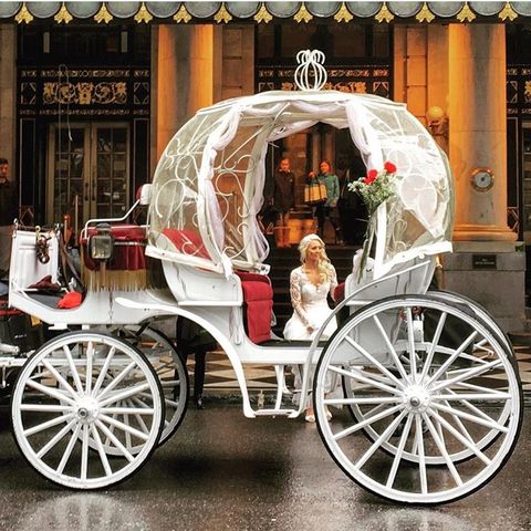 Experience a Fairytale Wedding with Central Park's Horse and Carriage Rental
