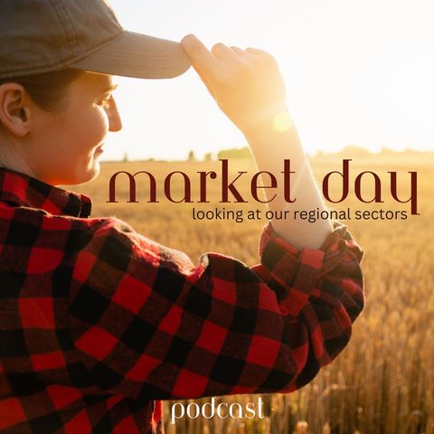 Market Day: Wool with Andrew Partridge from Michell Wool