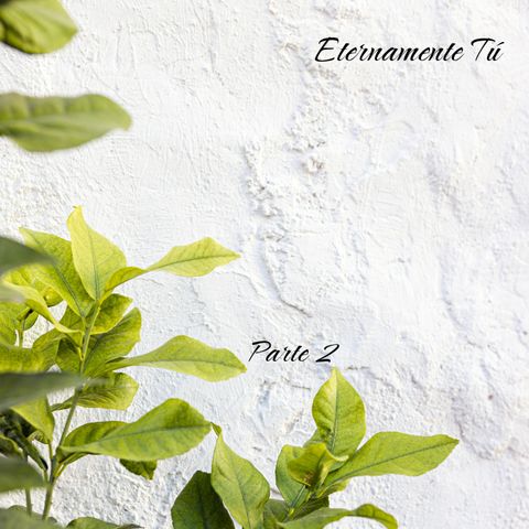 Tú 4 | Parte 2