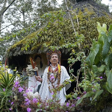 Las voces de la Amazonía