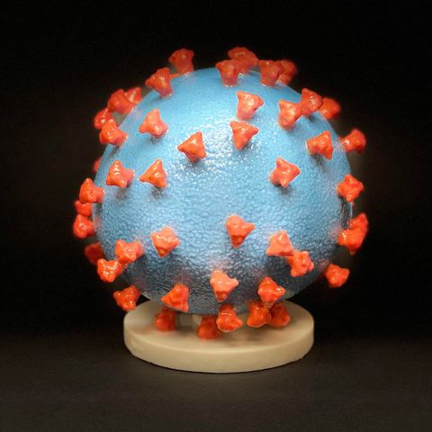 Come il coronavirus invade l'organismo