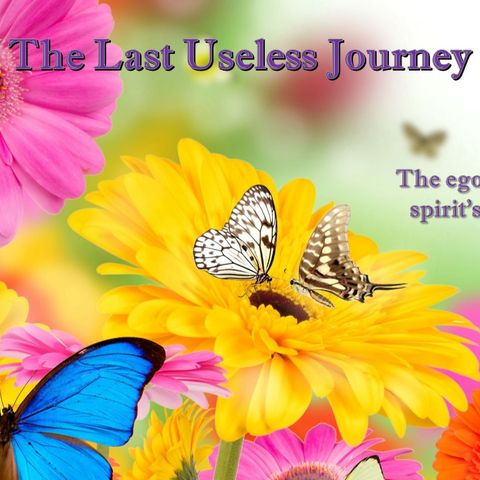 The Last Useless Journey - 3/19/17