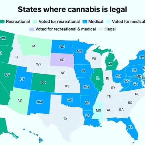 Cannabis and Election 2020