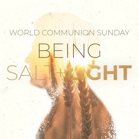 Being Salt and Light | Matthew 5:13-16 | Rev. Barrett Owen