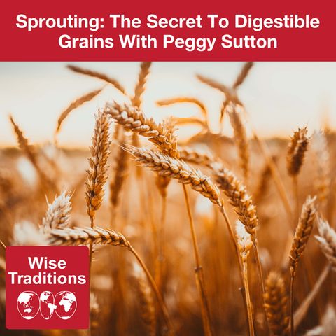 390: Sprouting: The Secret To Digestible Grains