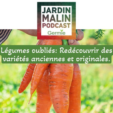 Légumes oubliés: Redécouvrir des variétés anciennes et originales.