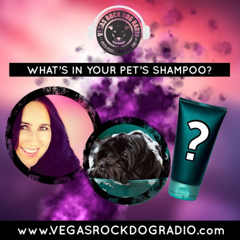 Is Your Pet's Shampoo Doing More Harm Than Good?