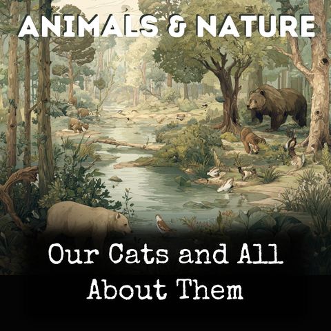 Cat Tales-Various