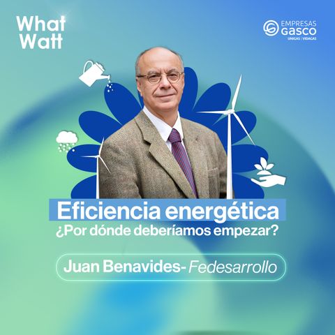 Eficiencia Energética: ¿Por dónde deberíamos empezar? con Juan Benavides de Fedesarrollo