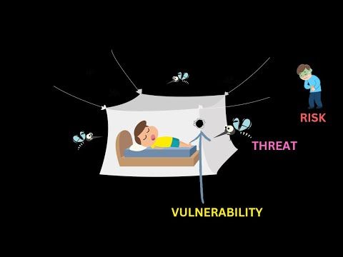 Difference in VULNERABILITY vs THREAT vs RISK