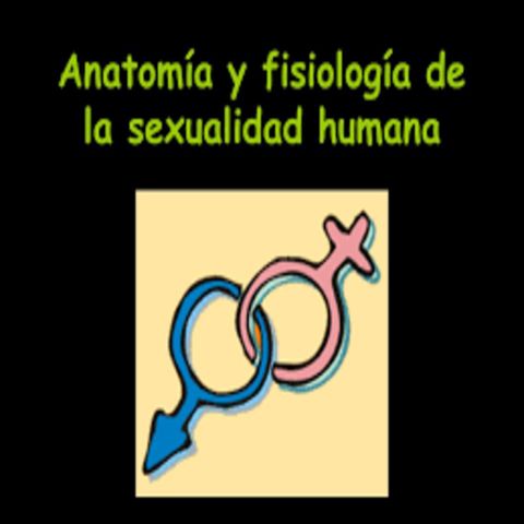 LA ANATOMÍA DE LA SEXUALIDAD¡ MAS ALLÁ DE LO QUE TU CONOCES