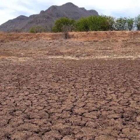 Alerta el Servicio Meteorológico Nacional, que el territorio nacional se encuentra con algún grado de sequía