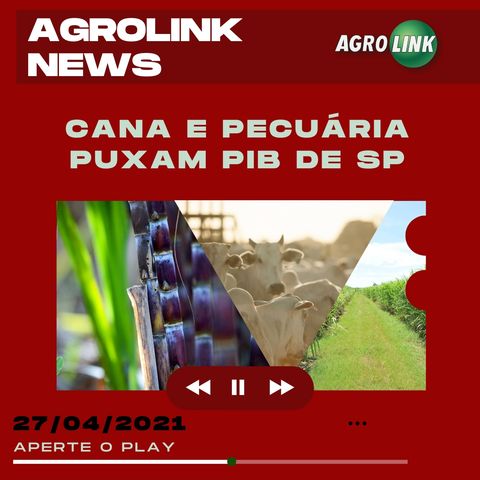 Podcast: Pecuária e produção de cana puxam PIB paulista