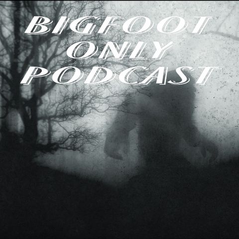 Bigfoot and paranormal activity in the Sam Houston National Forest.