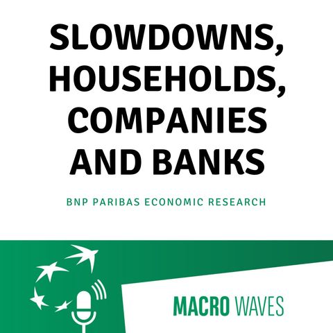 #02 - Slowdowns, households, companies and banks