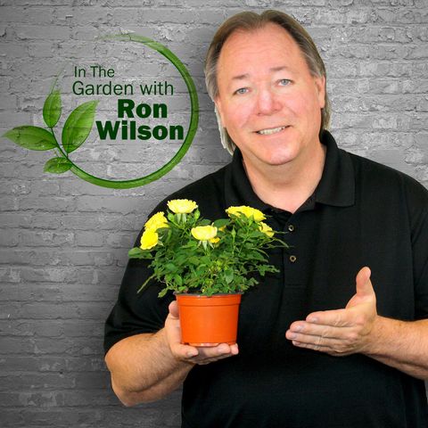 Ron Wilson 5-04-19