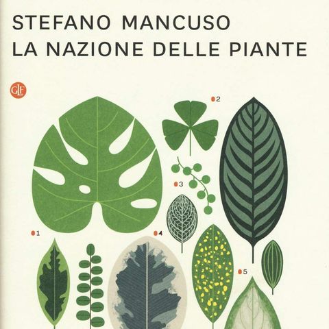 Stefano Mancuso: il potere delle piante