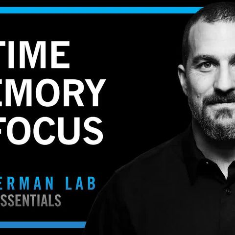 Time Perception
