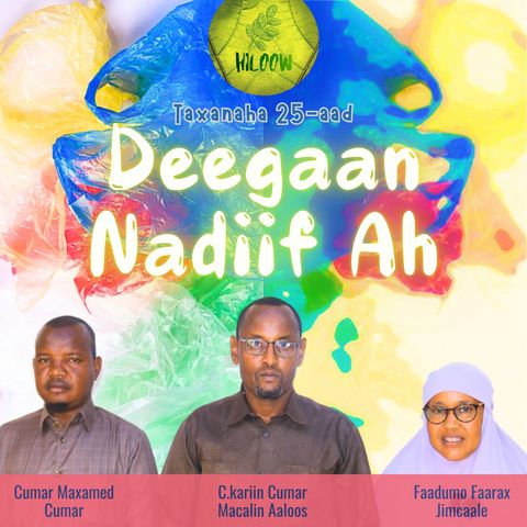 25. Deegaan Nadiif Ah