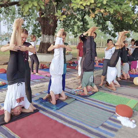 Which are the best Yoga Ashrams in India? 
