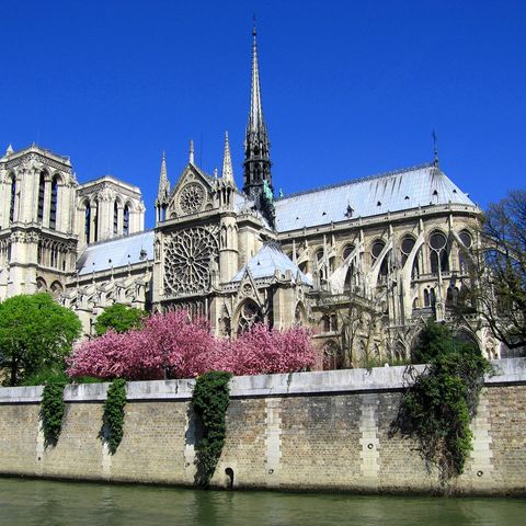 38 - Notre-Dame, spirito medievale fattosi pietra
