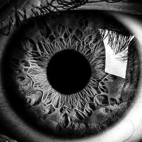 Visualização ocular #05