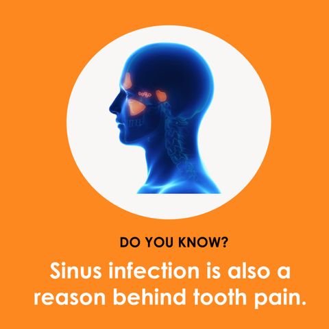 Sinus infection tooth pain
