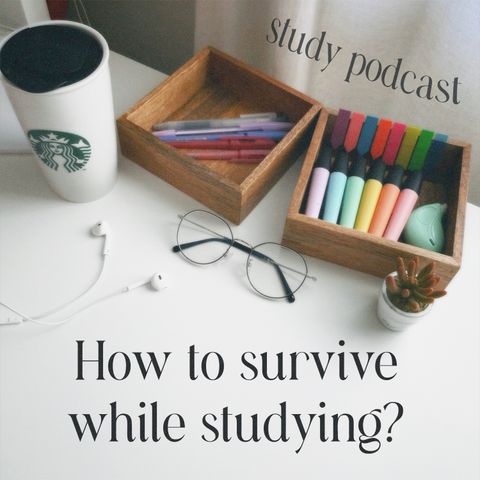 Episode 1 // study blog